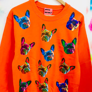 Noah The Frenchie Sweatshirt